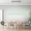 Leuchten-Direkt FELIX60 Lámpara Colgante LED Acero bruñido, 2 luces, Mando a distancia, Cambia de color