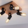 Leuchten-Direkt CANOP Lámpara de Techo Crudo, Negro, 4 luces