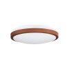 EGLO COMPETA Lámpara de Techo LED Blanca, 1 luz