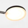 Steinhauer Soleil Lámpara de Pie LED Negro, 1 luz