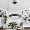 Areja Lámpara Colgante LED Antracita, Blanca, 1 luz