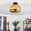 Koyoto  Lámpara de Techo Cristal 30 cm dorado, Transparente, 1 luz