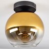 Koyoto  Lámpara de Techo Cristal 20 cm dorado, Transparente, 1 luz