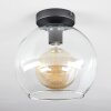 Koyoto  Lámpara de Techo Cristal 25 cm Transparente, 1 luz