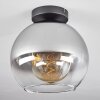 Koyoto  Lámpara de Techo Cristal 25 cm Transparente, Ahumado, 1 luz