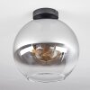 Koyoto  Lámpara de Techo Cristal 30 cm Transparente, Ahumado, 1 luz