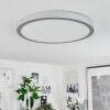 Finsrud Lámpara de Techo LED Plata, 1 luz