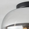 Molloy Lámpara de Techo Cromo, Transparente, Ahumado, 1 luz