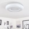 iDual Daphnis Lámpara de Techo LED Plata, Blanca, 1 luz, Mando a distancia, Cambia de color