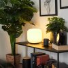 iDual Thyme Lámpara de mesa LED Níquel-mate, 1 luz, Mando a distancia, Cambia de color