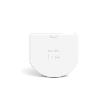 Philips Hue Interruptor pared Blanca