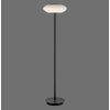 Paul Neuhaus Q-ETIENNE Lámpara de Pie LED Negro, 1 luz, Mando a distancia