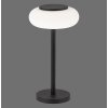 Paul Neuhaus Q-ETIENNE Lámpara de mesa LED Negro, 1 luz, Mando a distancia