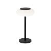 Paul Neuhaus Q-ETIENNE Lámpara de mesa LED Negro, 1 luz, Mando a distancia