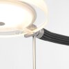 Steinhauer Turound Lámpara de Pie LED Acero bruñido, 1 luz