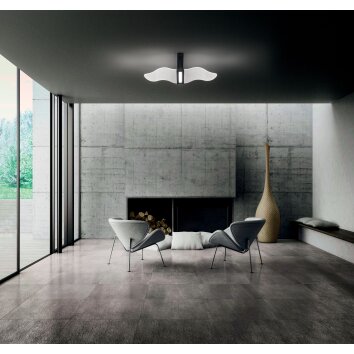 Fabas Luce Fenice Lámpara de Techo LED Negro, 1 luz
