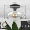 Molloy Lámpara de Techo Transparente, 1 luz