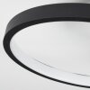 Tagsdorff Lámpara de Techo LED Negro, Blanca, 1 luz