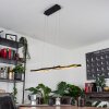 Serlande Lámpara Colgante dorado, Negro, 1 luz