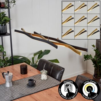 Serlande Lámpara Colgante dorado, Negro, 1 luz