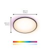 Philips WiZ Rune Lámpara de Techo LED Negro, Blanca, 1 luz, Cambia de color