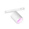 Philips Hue Perifo Foco LED Blanca, 1 luz, Cambia de color