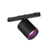 Philips Hue Perifo Foco LED Negro, 1 luz, Cambia de color