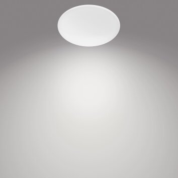 Philips Moire Lámpara de Techo LED Blanca, 1 luz