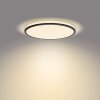 Philips Ozziet Lámpara de Techo LED Negro, Blanca, 1 luz
