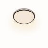 Philips Ozziet Lámpara de Techo LED Negro, Blanca, 1 luz
