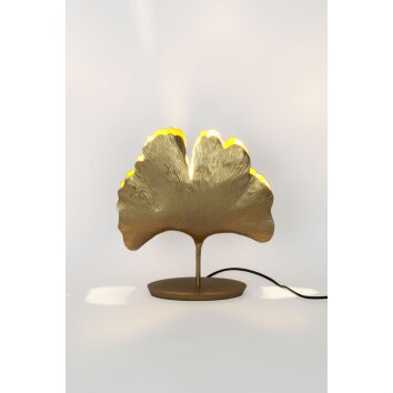 Holländer GINGKO Lámpara de mesa dorado, 1 luz