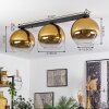 Koyoto  Lámpara de Techo Cristal 30 cm dorado, Transparente, 3 luces