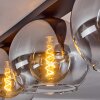 Koyoto  Lámpara de Techo Cristal 25 cm Transparente, Ahumado, 4 luces
