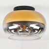 Molloy Lámpara de Techo dorado, Transparente, Ahumado, 1 luz
