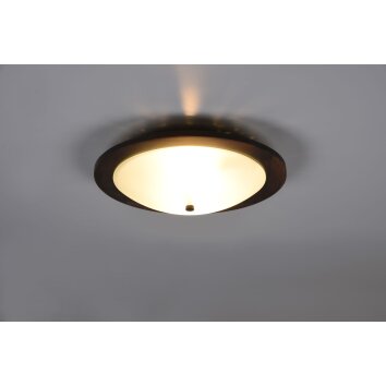 Trio Pali Lámpara de Techo Madera oscura, 2 luces