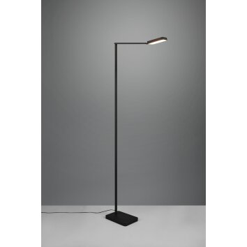 Trio Pavia Lámpara de Pie LED Negro, 1 luz