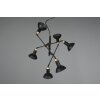 Trio Roxie Lámpara Colgante Latón, Negro, 6 luces