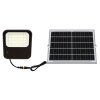 Globo SOLAR Foco proyector jardin LED Gris, 1 luz, Mando a distancia