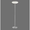 Paul Neuhaus Q-ETIENNE Lámpara de Pie LED Acero bruñido, 1 luz, Mando a distancia