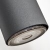 Javel Flexo de pared Negro, 1 luz