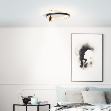 Brilliant Eunomia Lámpara de Techo LED Negro, Blanca, 1 luz