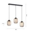Paul Neuhaus SHITAKE Lámpara Colgante Negro, 3 luces