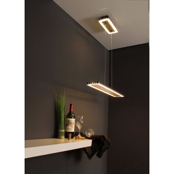 Luce Design Solaris Lámpara Colgante LED dorado, Negro, 1 luz