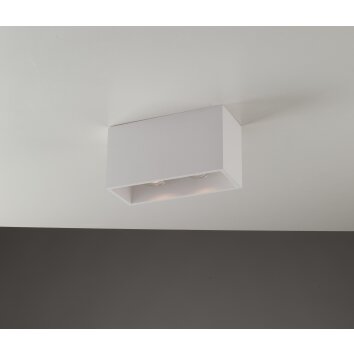 Luce Design Foster Lámpara de Techo puede ser pintada con colores estándar, Blanca, 2 luces