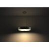 Philips Hue Fair Lámpara Colgante LED Negro, 1 luz, Mando a distancia