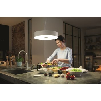 Philips Hue Fair Lámpara Colgante LED Blanca, 1 luz, Mando a distancia