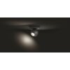 Philips Hue Buckram Lámpara de Techo LED Negro, 1 luz