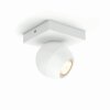 Philips Hue Buckram Lámpara de Techo LED Blanca, 1 luz, Mando a distancia