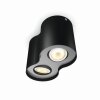 Philips Hue Pillar Lámpara de Techo LED Negro, 2 luces, Mando a distancia