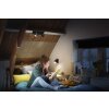 Philips Hue Runner Lámpara de Techo LED Negro, 2 luces, Mando a distancia